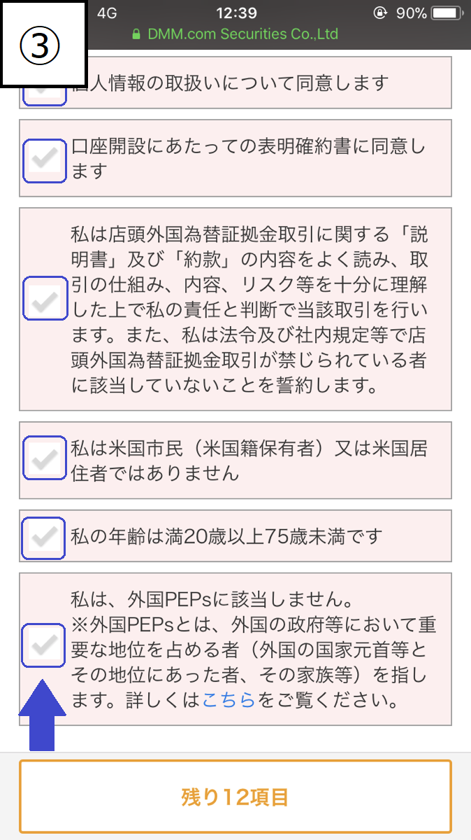 DMMFX口座開設フローSP4