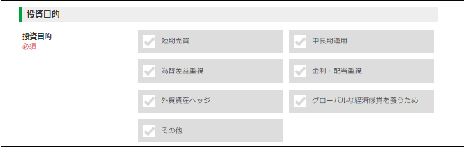 DMMFX口座開設申し込み_投資方針